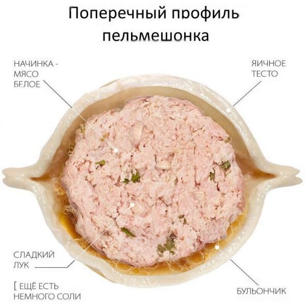 Смешные картинки с подписями