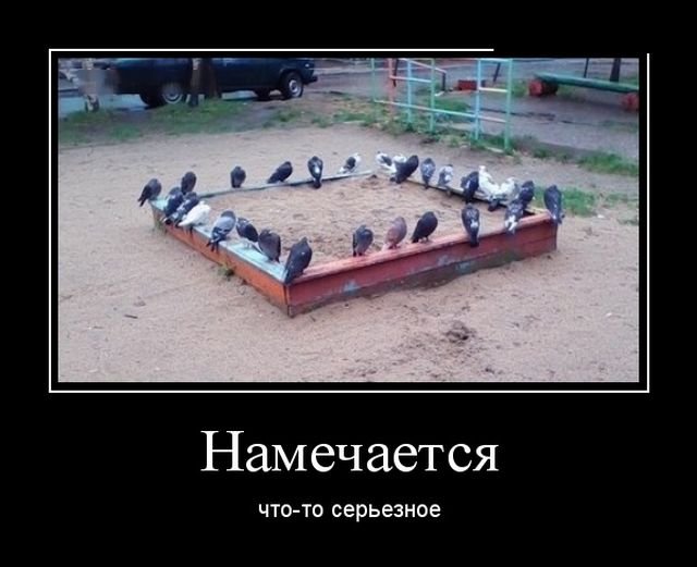 Демотиваторы