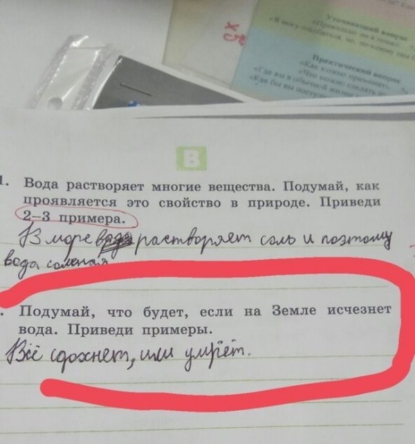 13 ответов детей, заслуживших пятерку за находчивость