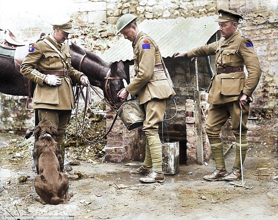 Окунуться в прошлое: цветные фотографии Первой мировой войны
