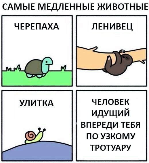 Смешные комиксы