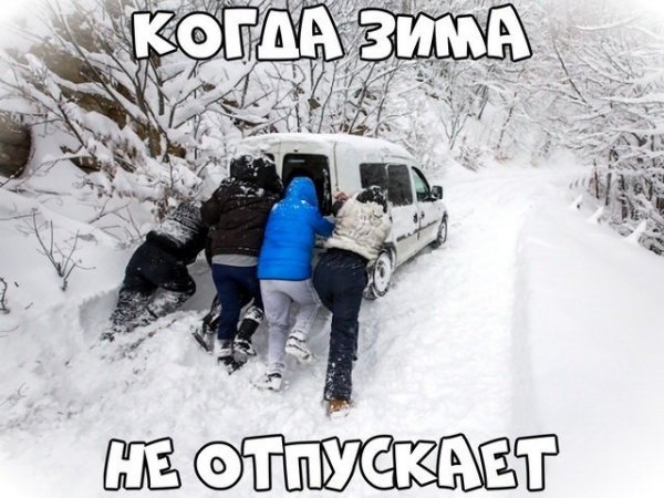 Автоприколы