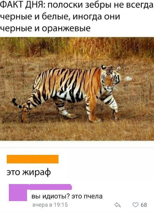 Люди говорят