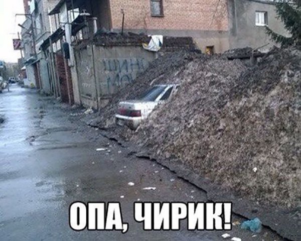 Приколы на ночь