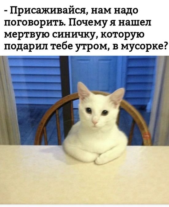 Утренние приколы