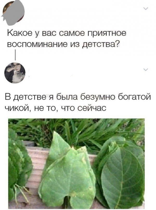 Люди говорят