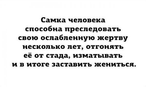 Текста в картинках вам