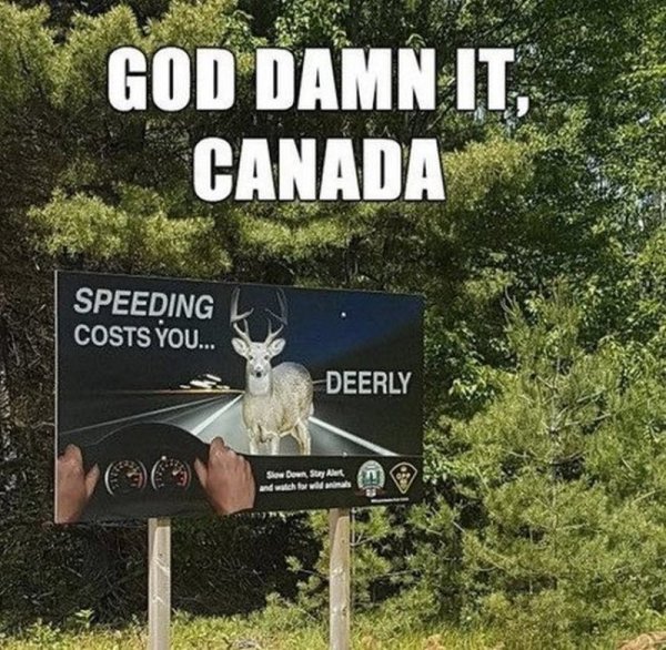 Тем временем в Канаде...