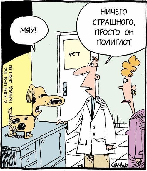 Ветеринарный юмор