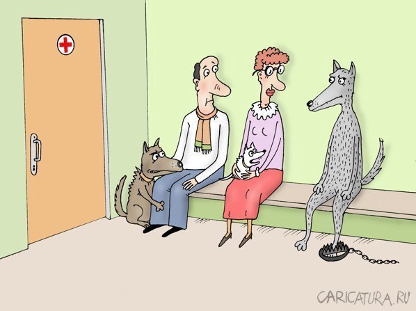 Ветеринарный юмор