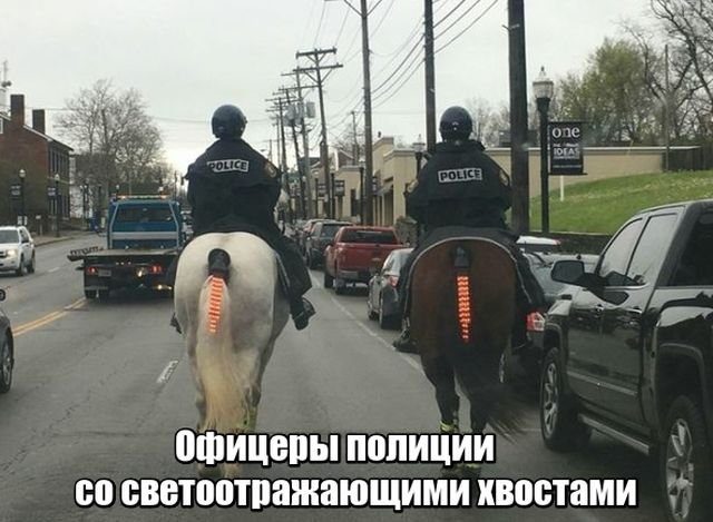 Утренние приколы