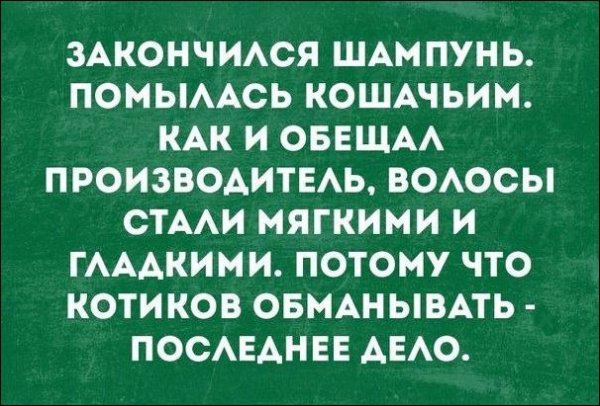 Текстовые картинки с неоднозначным содержанием