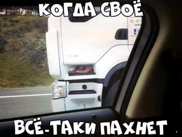 Автоприколы