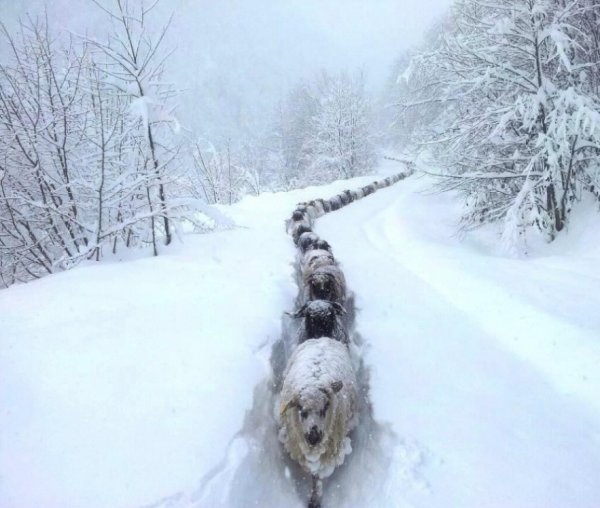 Картинки воскресенья