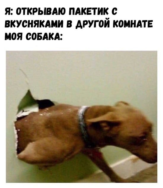 Прикольчики