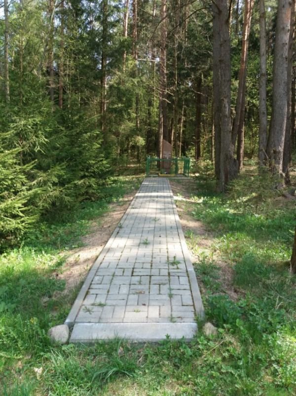 Братская могила героев ВОВ в белорусском лесу