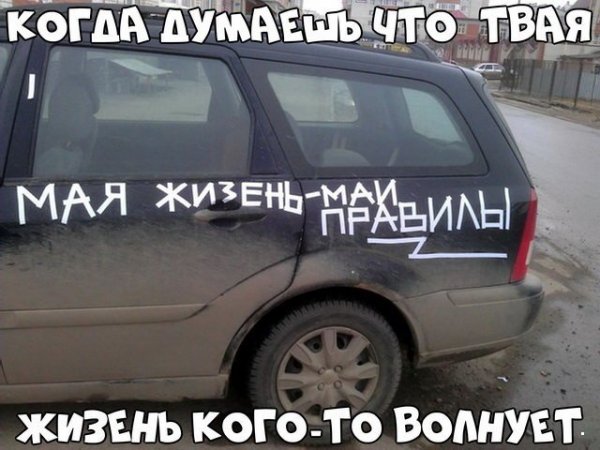 Автоприколы