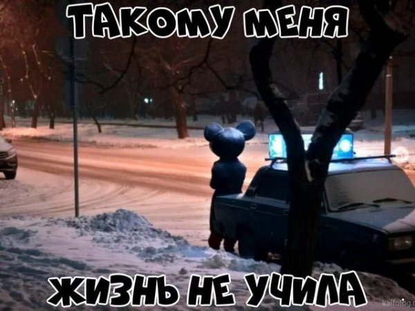 Автоприколы