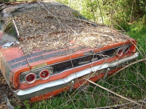 Забытые легенды: 25 фотографий, от которых все автомобилисты схватятся за сердце Забытые легенды: 25 фотографий, от которых все автомобилисты схватятся за сердце