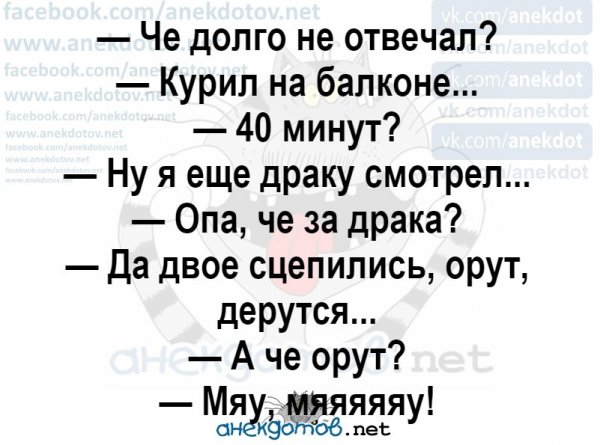 Лучшие анекдоты