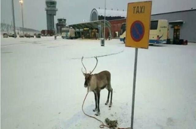 Вечерние прикольчики