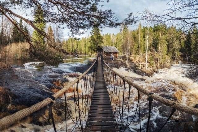 Вечерние прикольчики