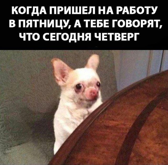 Прикольчики