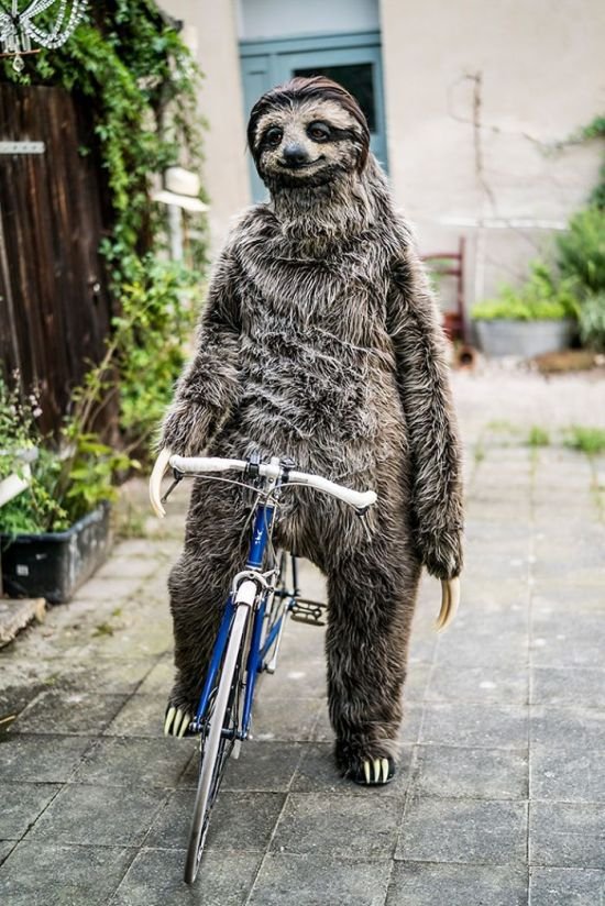 Реалистичный костюм-ленивца