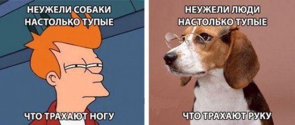 Не очень адекватный юмор