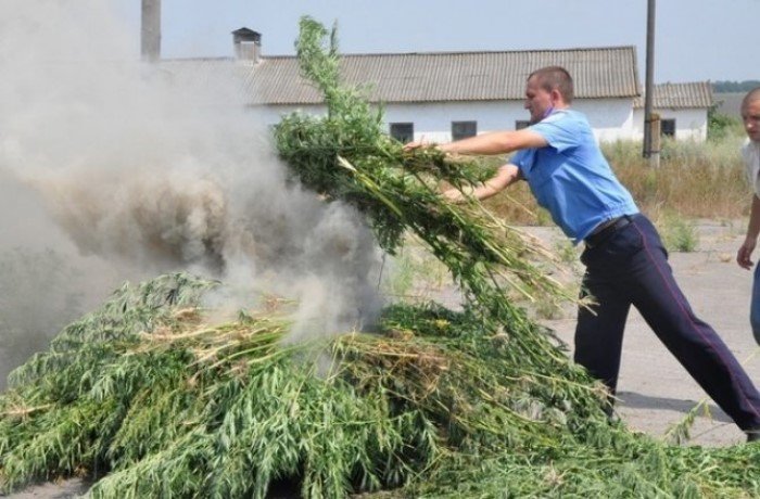 Те редкие случаи, когда работа по-настоящему в кайф