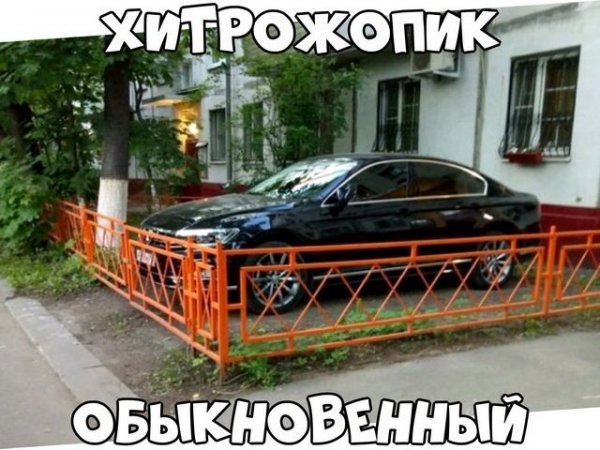 Автоприколы