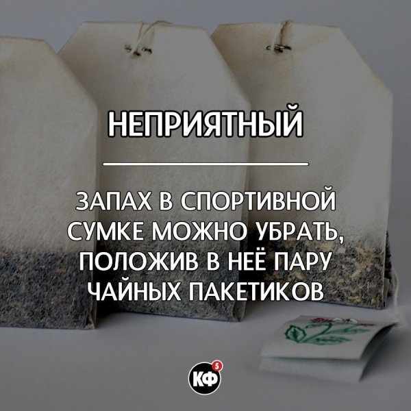 Краткие факты