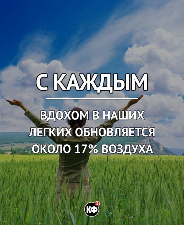 Краткие факты