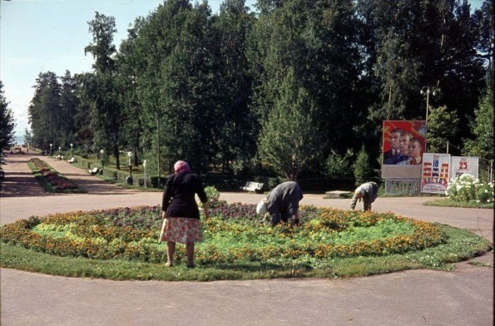 Каким увидел советский Ленинград 1963 года английский турист