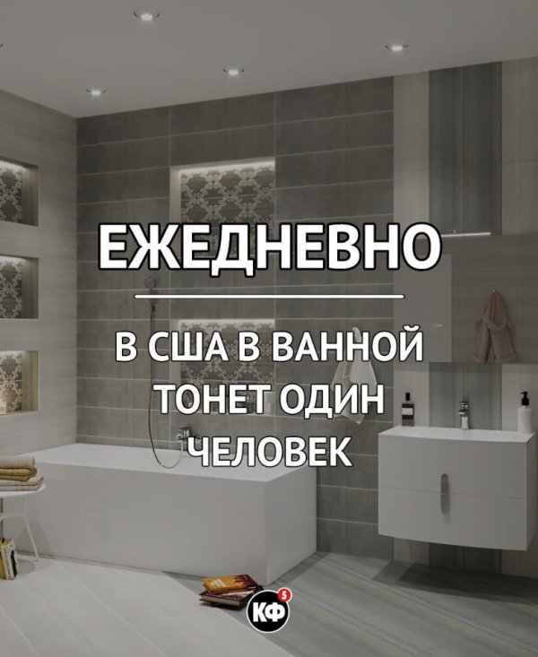 Краткие факты