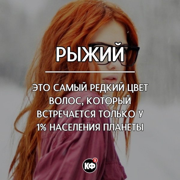 Краткие факты