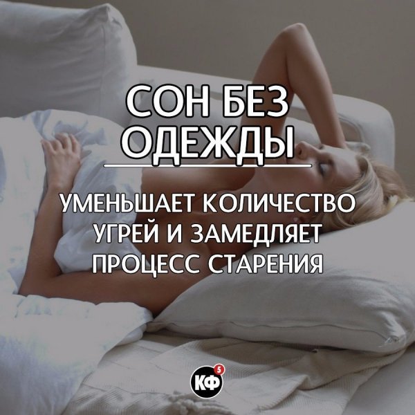 Краткие факты