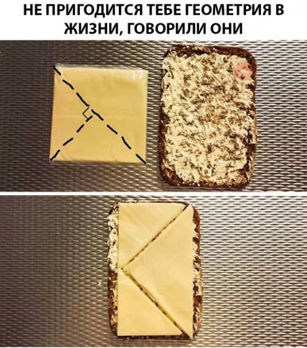 Смешные картинки