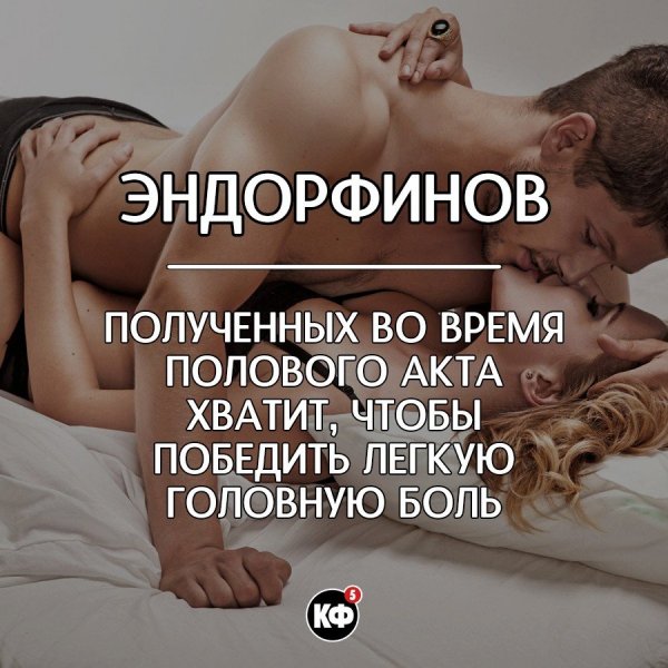 Краткие факты