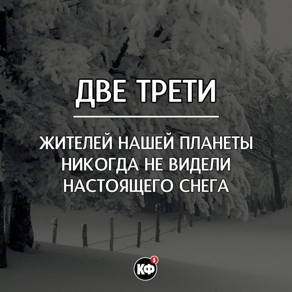 Краткие факты