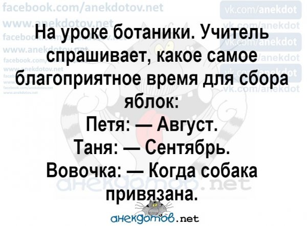 Лучшие анекдоты