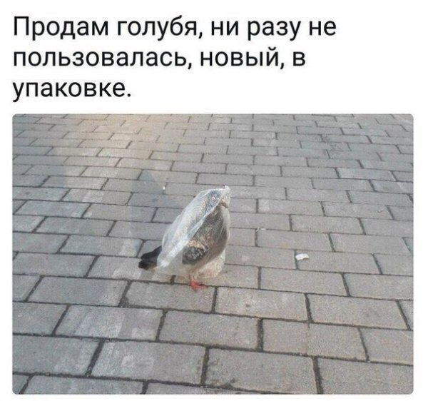 Прикольчики