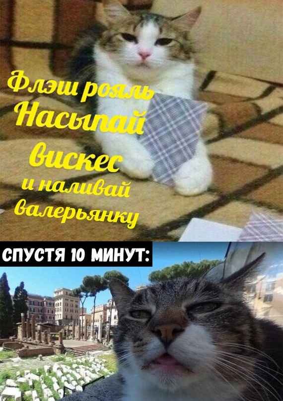 Не очень адекватный юмор