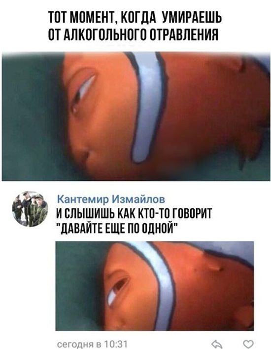 Смешные картинки