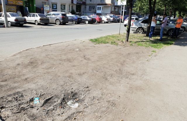 Житель Челябинска облагородил газон возле дома