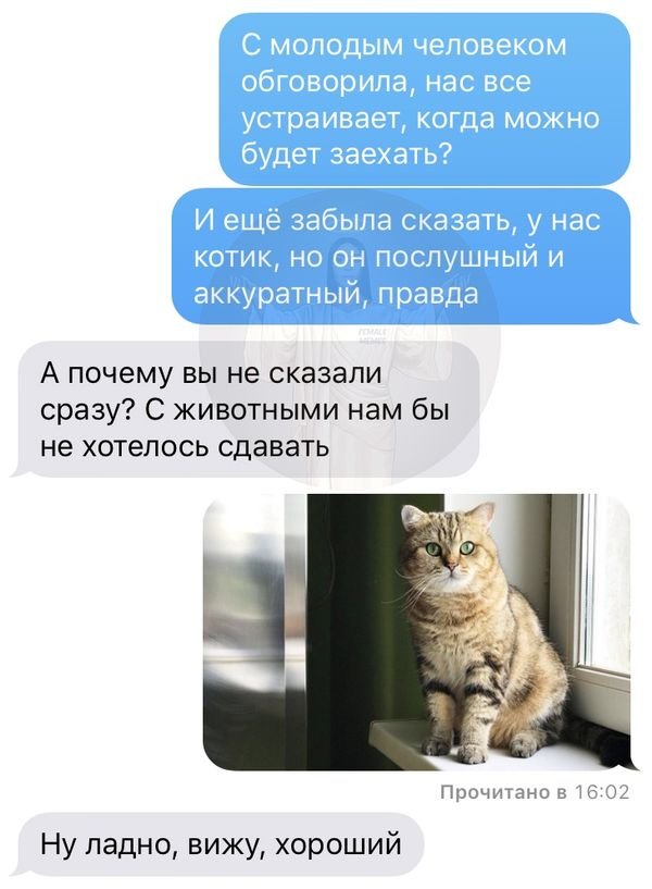 Специфический юмор