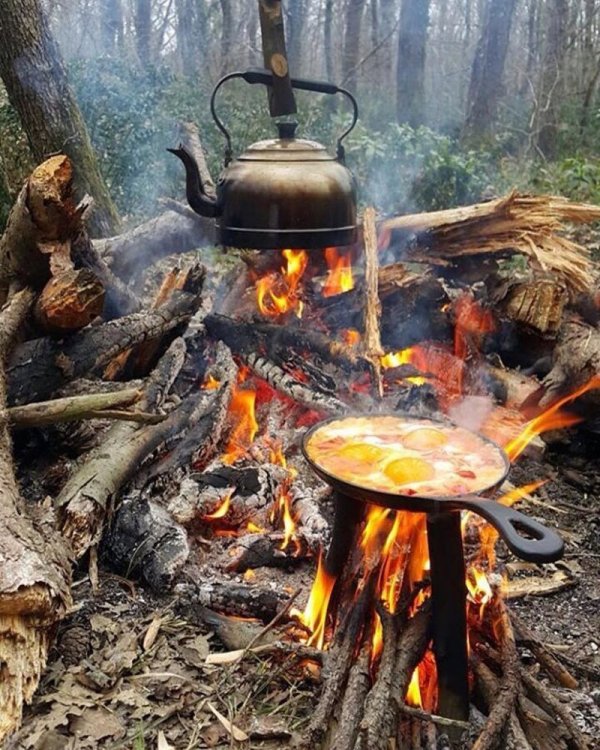 25 «вкусных» фотографий, после которых хочется бросить всё и уехать на природу