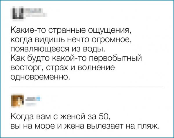 27 комментариев от пользователей, которые заслуживают награду «Гении сарказма»