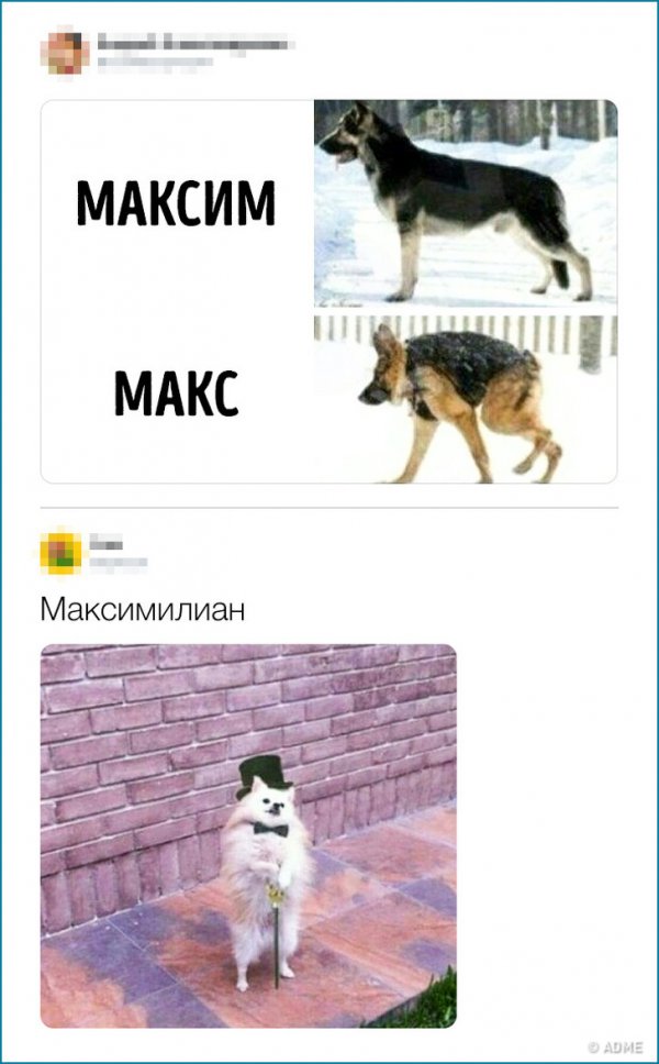 27 комментариев от пользователей, которые заслуживают награду «Гении сарказма»