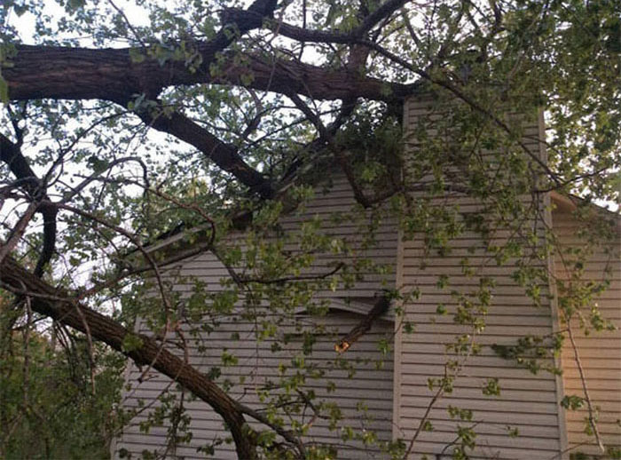 Последствия падения дерева на дом